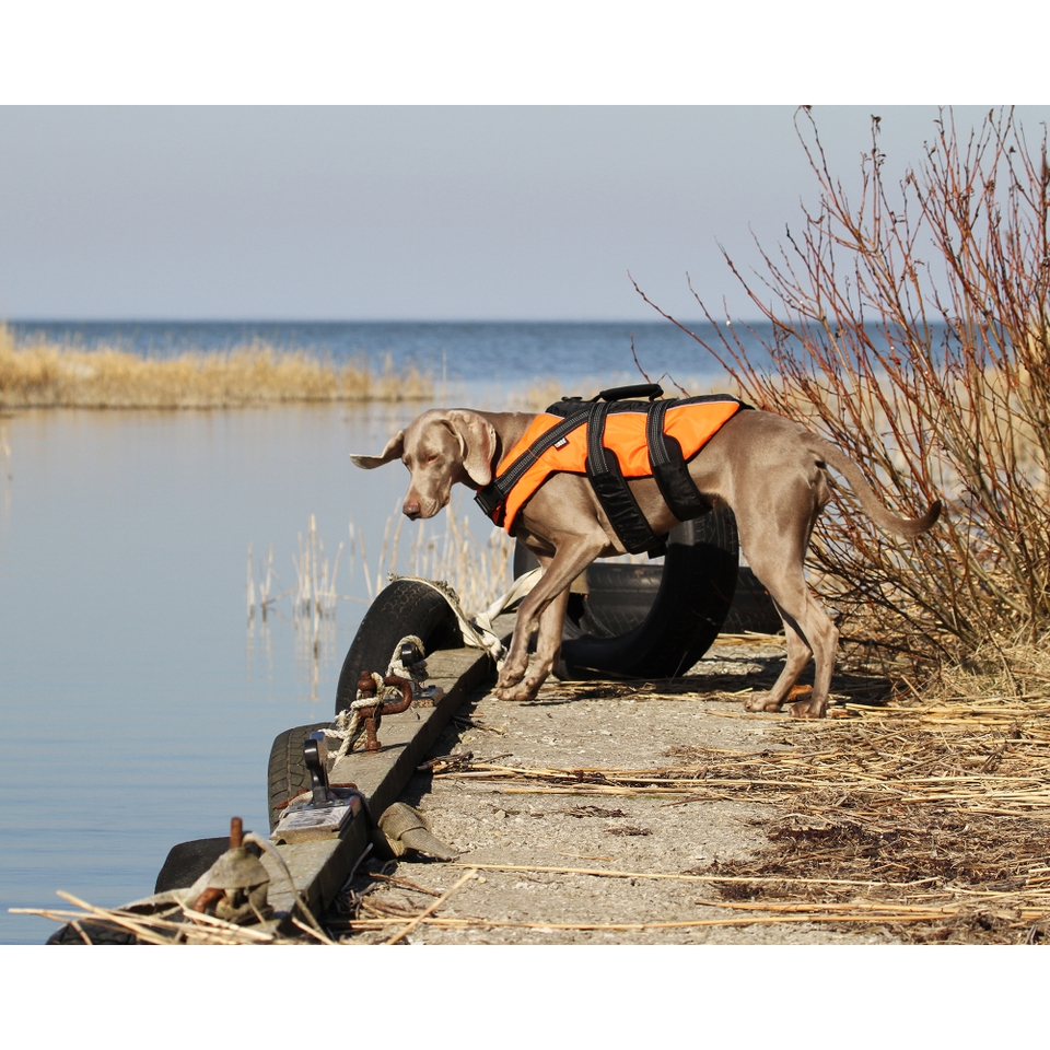 Safety Life Vest - Orange