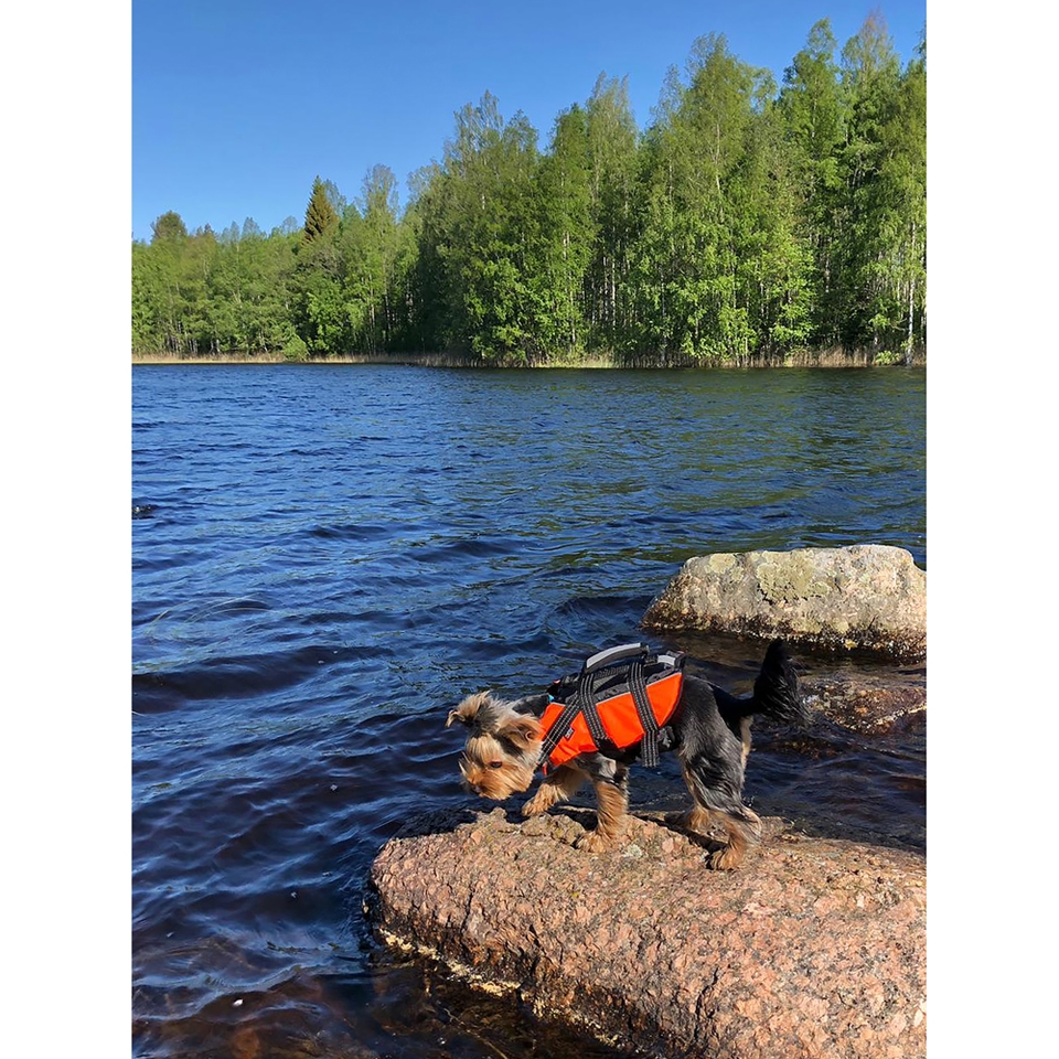 Safety Life Vest - Orange
