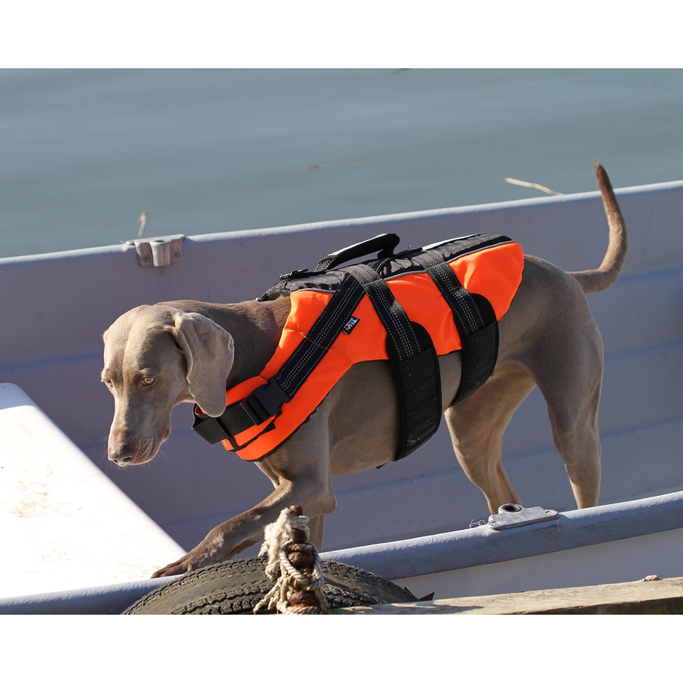 Safety Life Vest Orange Rukka Pets US