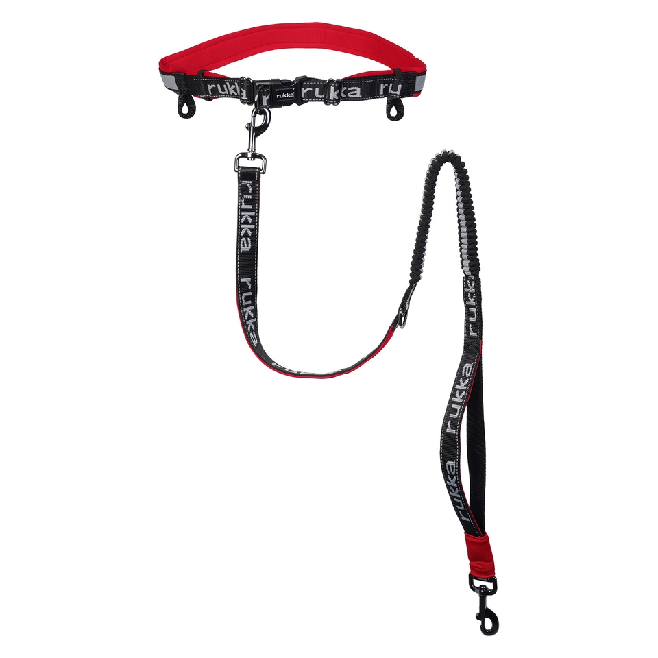 Hike Run Belt and Leash - Classic Red