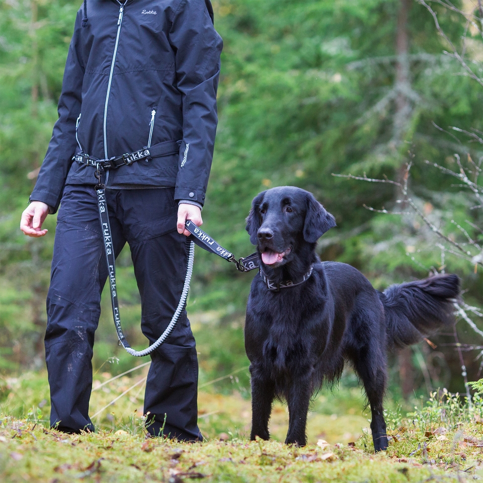 Hike Run Belt and Leash - Classic Red