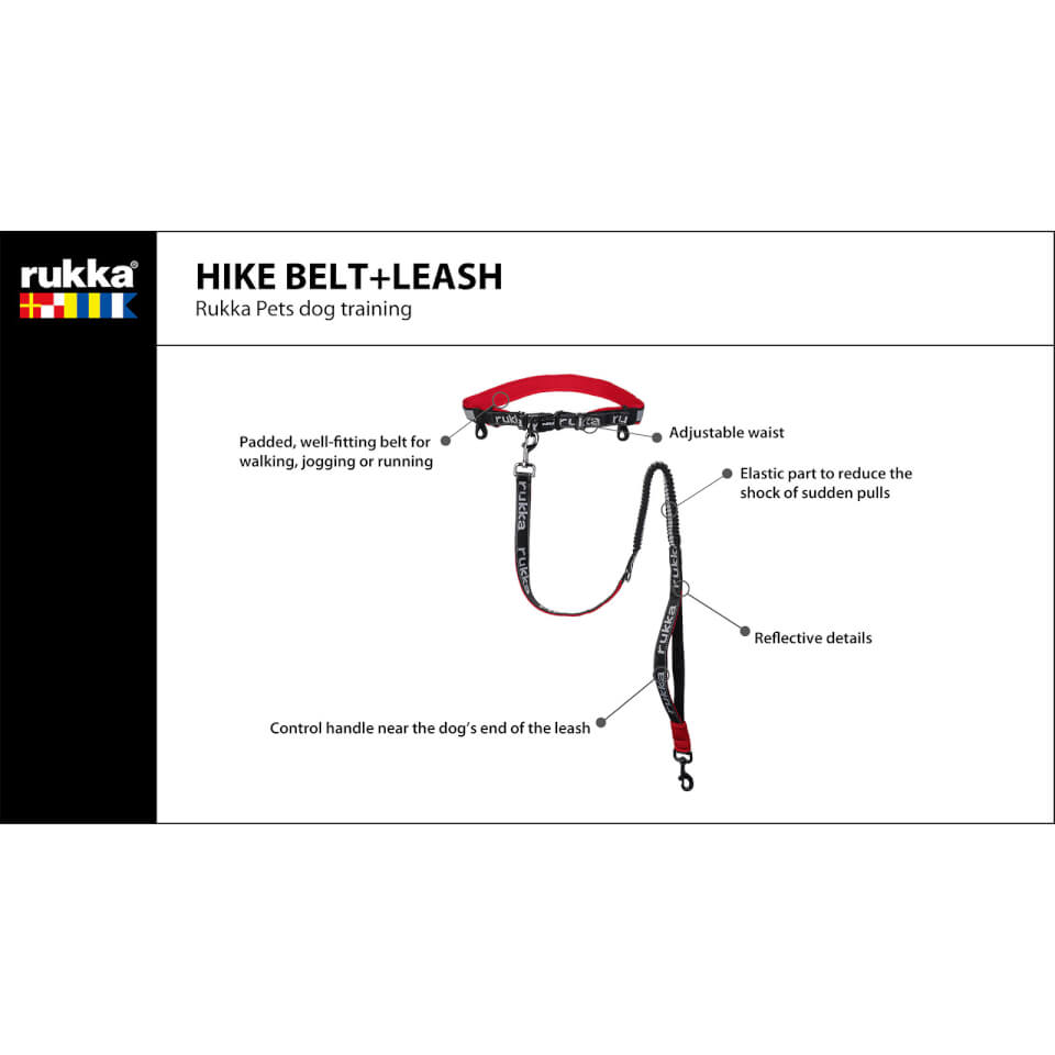 Hike Run Belt and Leash - Classic Red