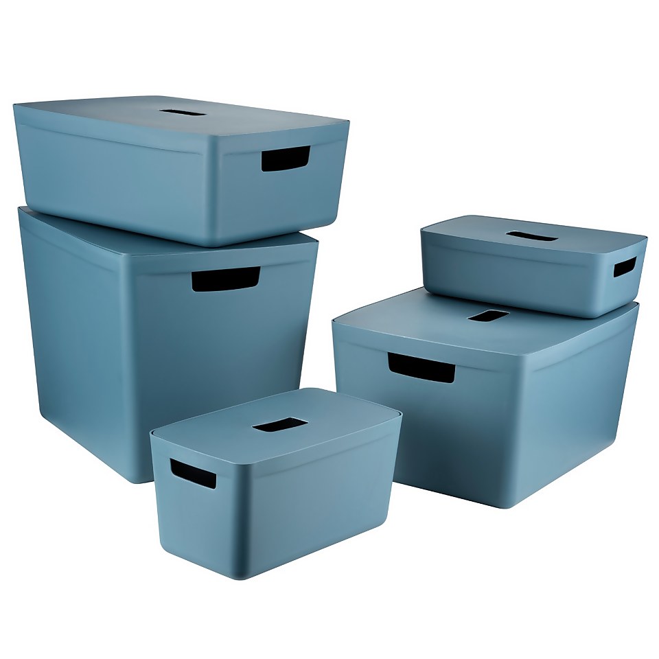Inabox Home Storage Box & Lid - 19L - Cactus Blue