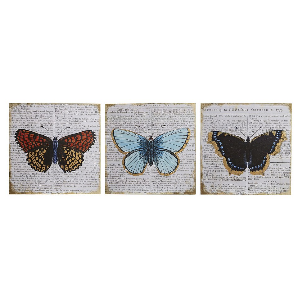 Set of 3 Butterfly Wall Plaques - 20x20cm