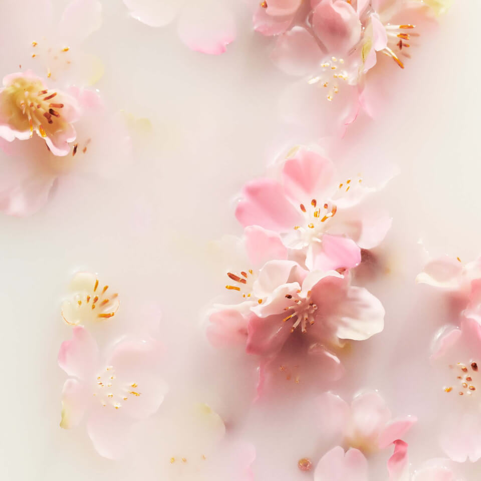 Rituals The Ritual of Sakura Floral Cherry Blossom & Rice Milk Bath and Body Small Gift Set