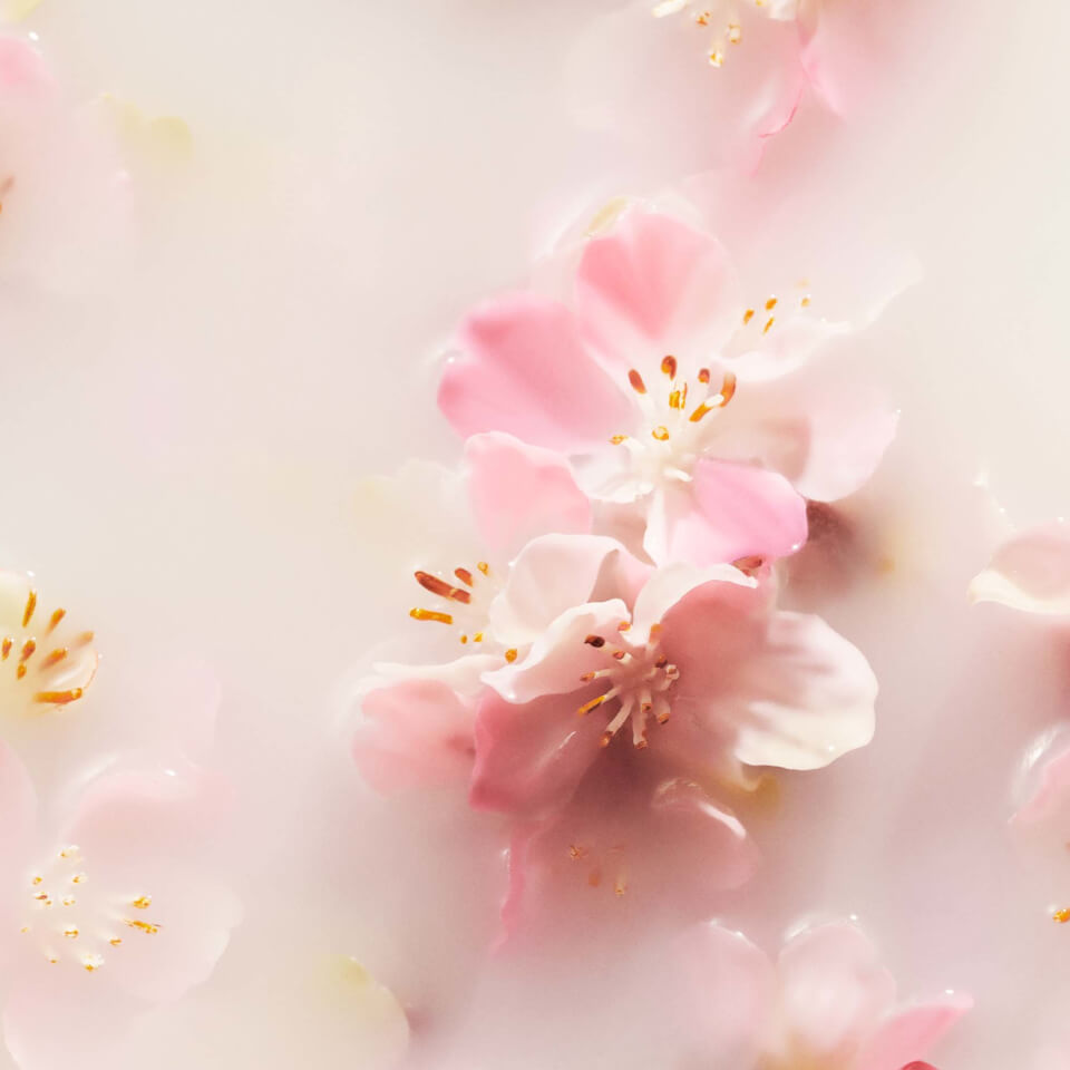 Rituals The Ritual of Sakura Floral Cherry Blossom & Rice Milk Bath and Body Gift Set Medium