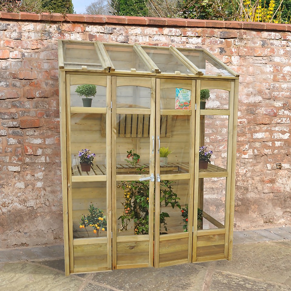 Forest Victorian Tall Wall Greenhouse with Auto Vent (Home Delivery)