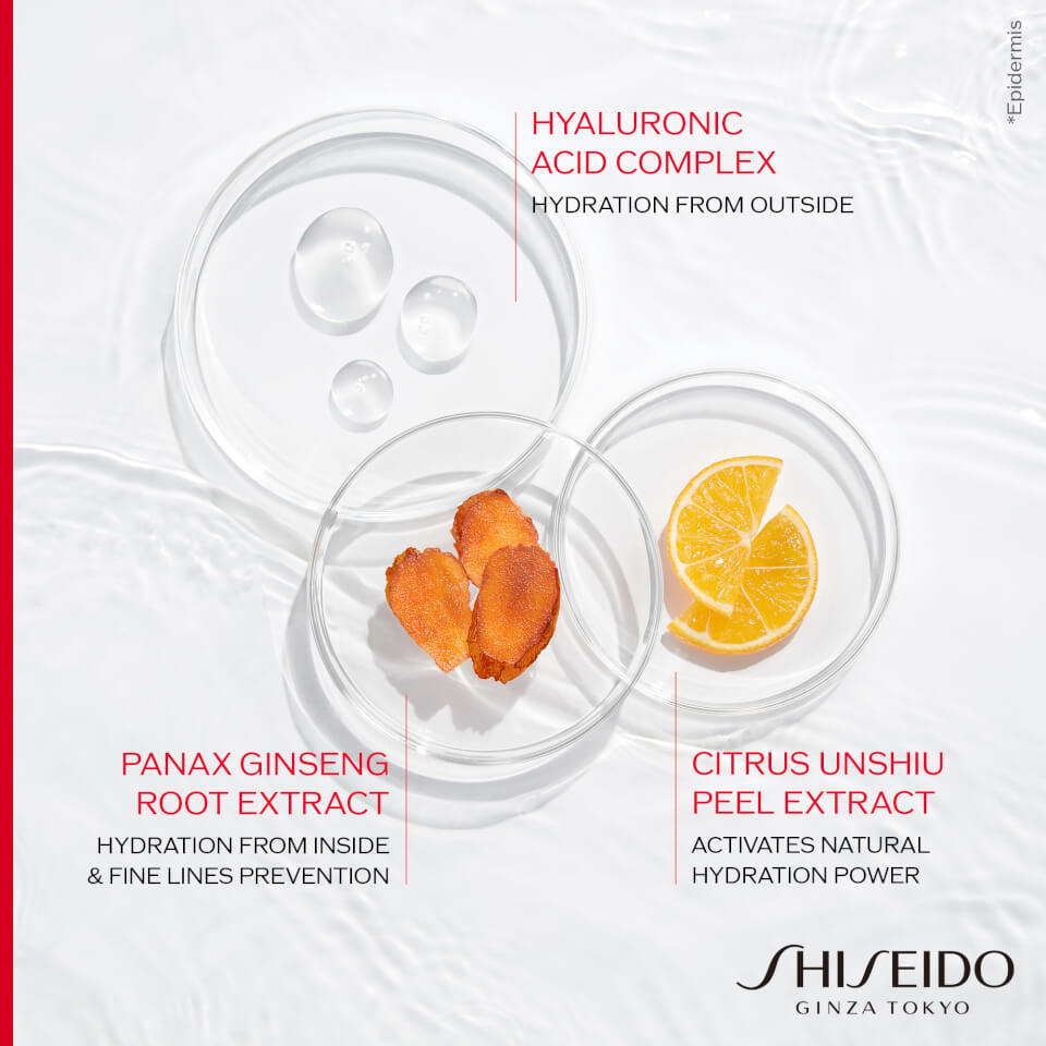 Shiseido Essential Energy Holiday Kit