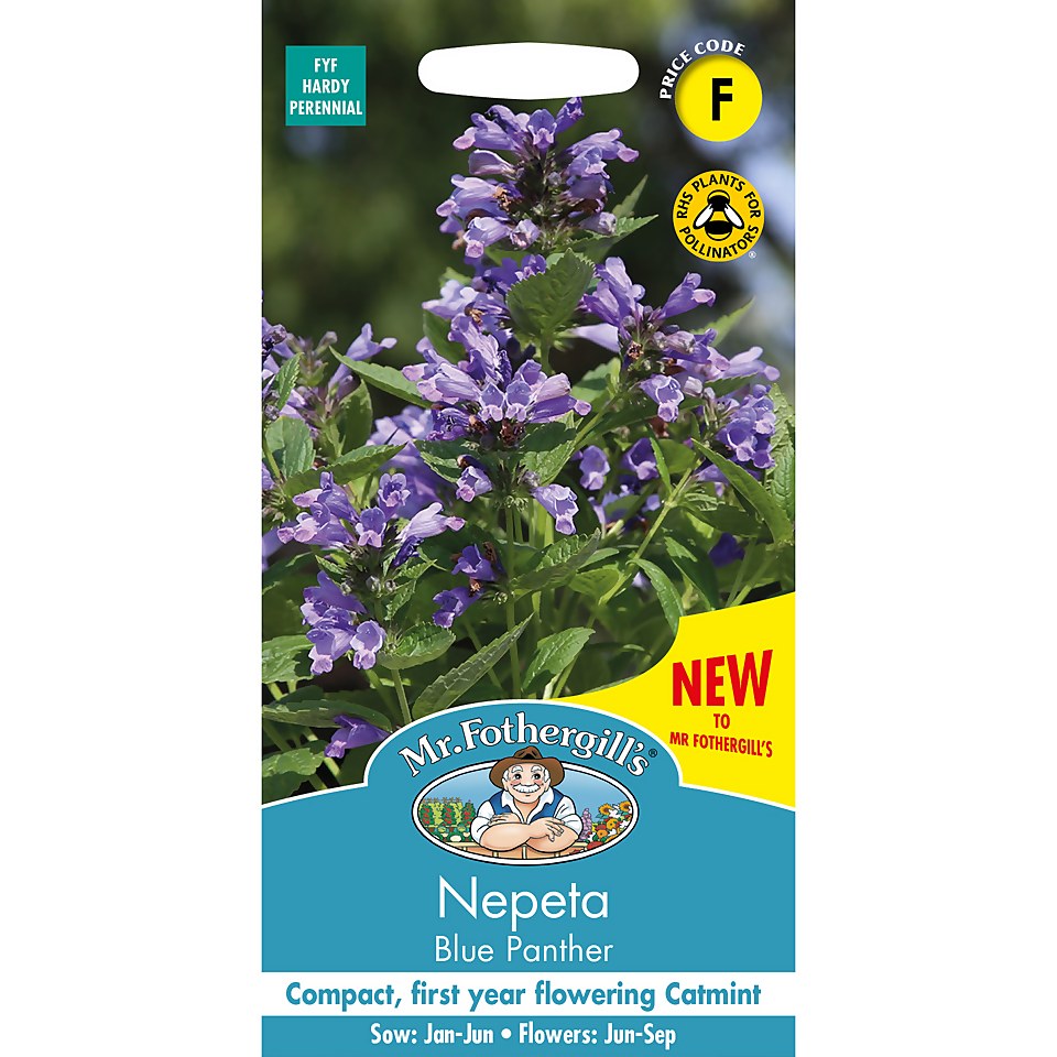 Mr. Fothergill's Nepeta Seeds - Blue Panther