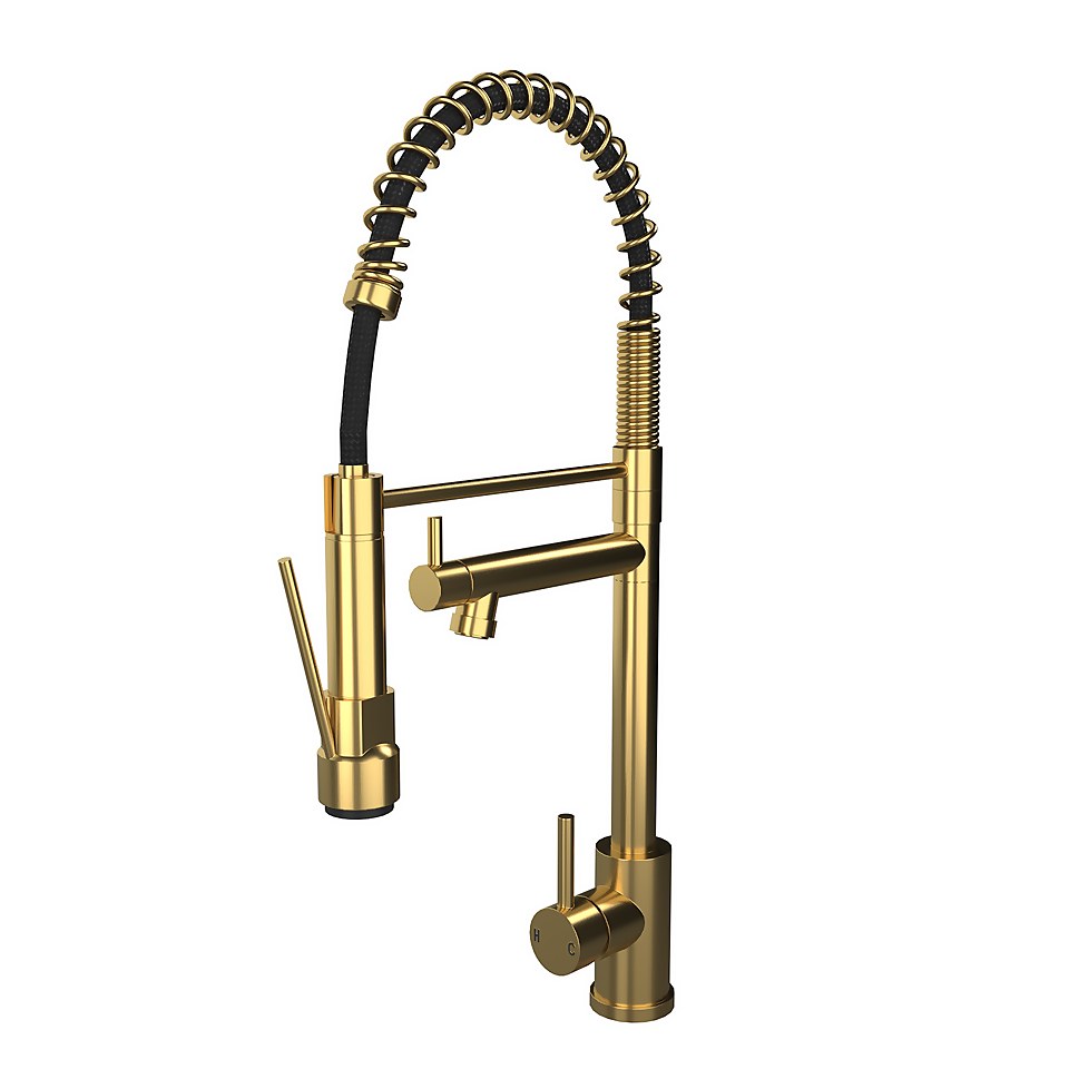 Rona Pull and Spray Tap - Brushed Brass