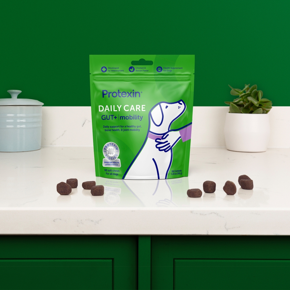 Protexin Daily Care Gut+ Mobility