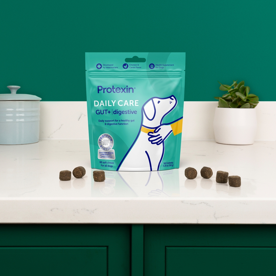 Protexin Daily Care Gut+ Digestive