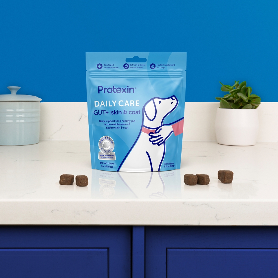 Protexin Daily Care Gut+ Skin & Coat