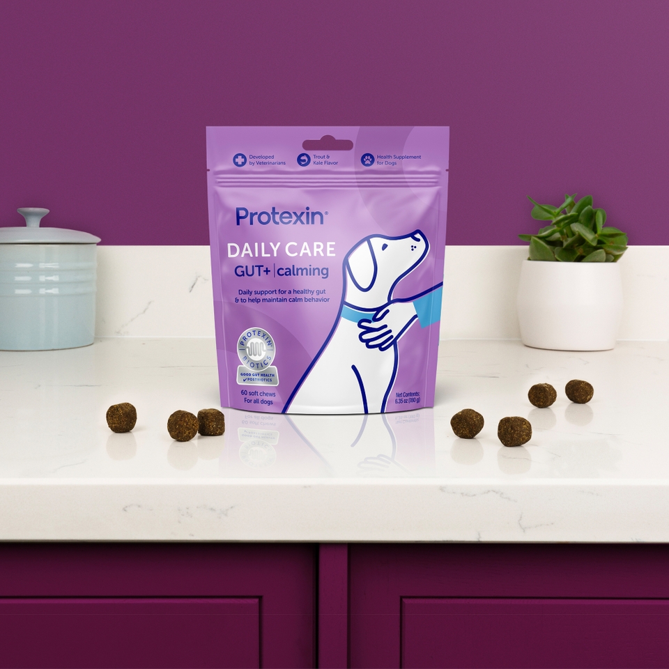 Protexin Daily Care Gut+ Calming