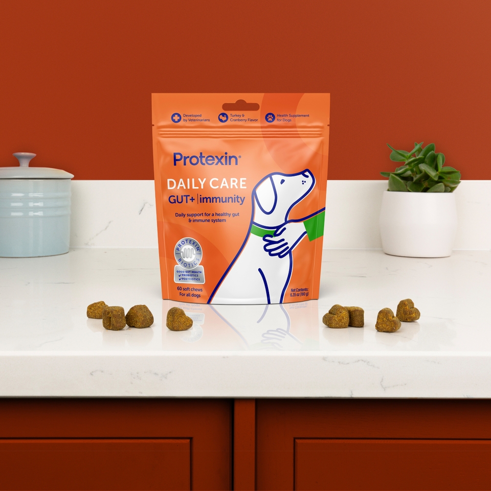 Protexin Daily Care Gut+ Immunity