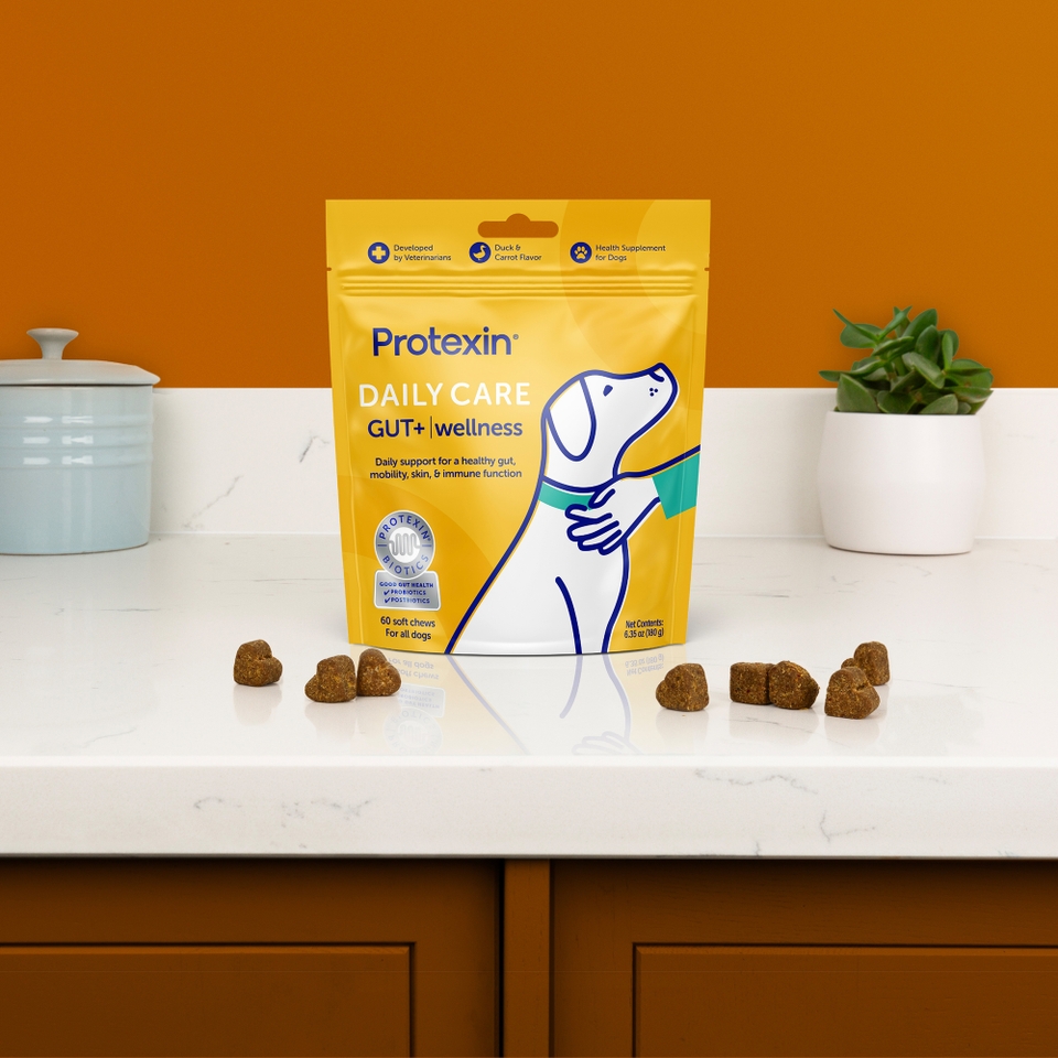 Protexin Daily Care Gut+ Wellness