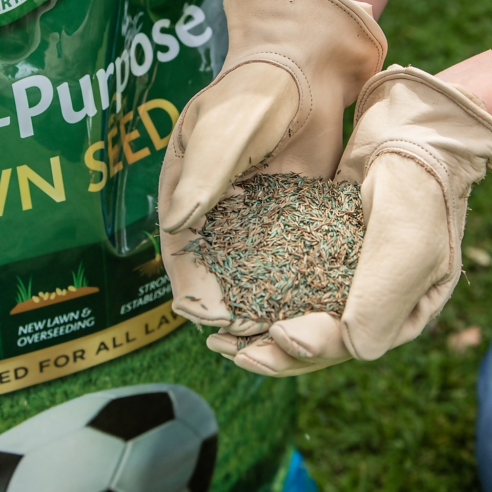 GroSure MultiPurpose Lawn Seed 30m2 + 20 Extra Free Homebase