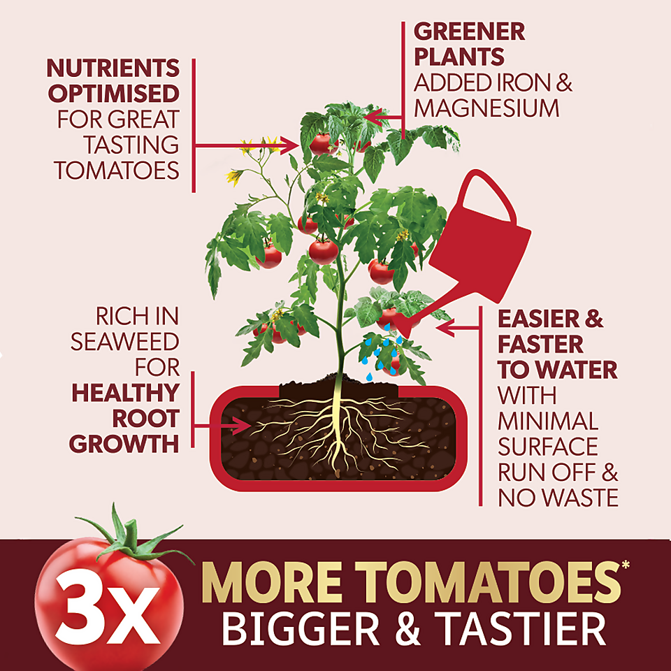 Westland Big Tom Tomato Food - 1L + 25% Extra Free (1.25L)