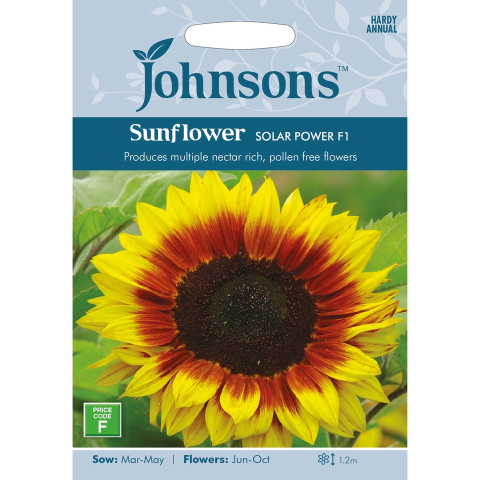 Johnsons Sunflower Seeds - Solar Power