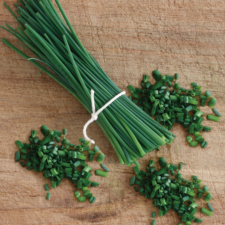 Johnsons Chives Seeds - Biggy