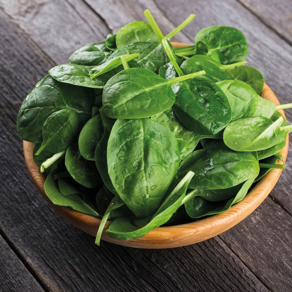 Johnsons Spinach Seeds - Amador