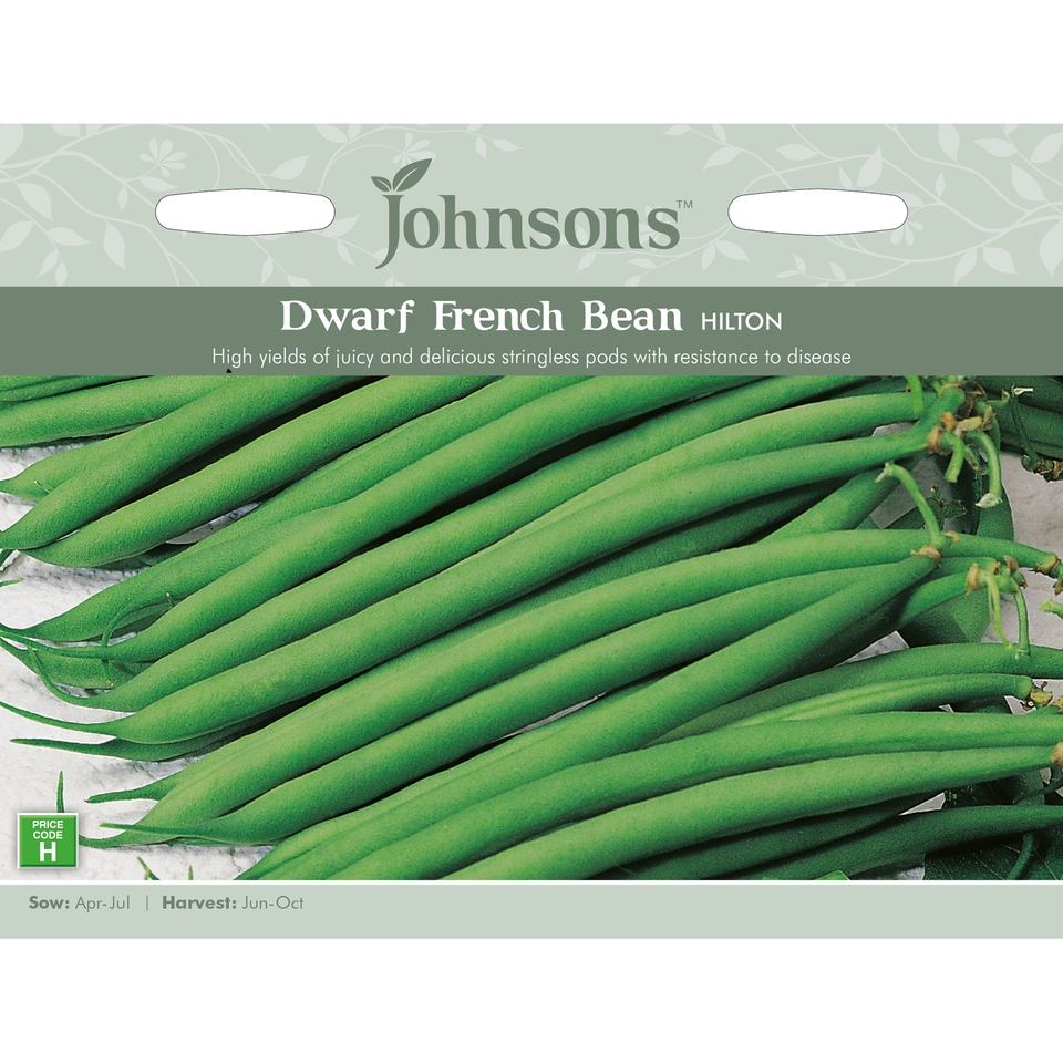 Johnsons Dwarf French Bean Seeds - Hilton