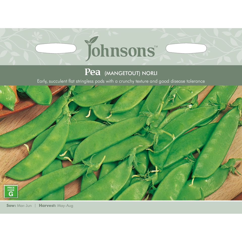 Johnsons Pea (Mangetout) Seeds - Norli