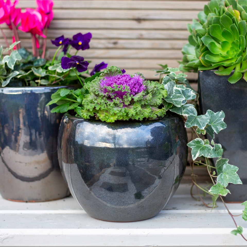 Chiswick Moon Plant Pot - Mirror - 25cm