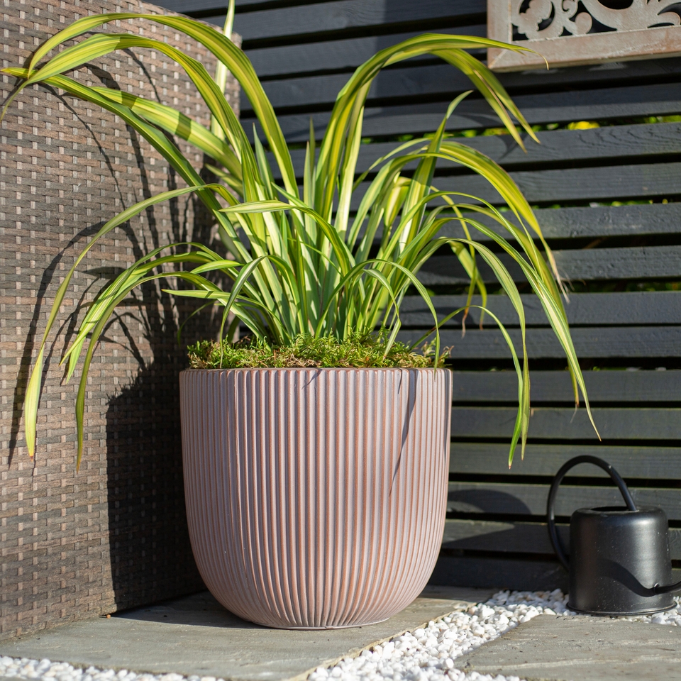 Ream Egg Plant Pot - Terracotta 24cm