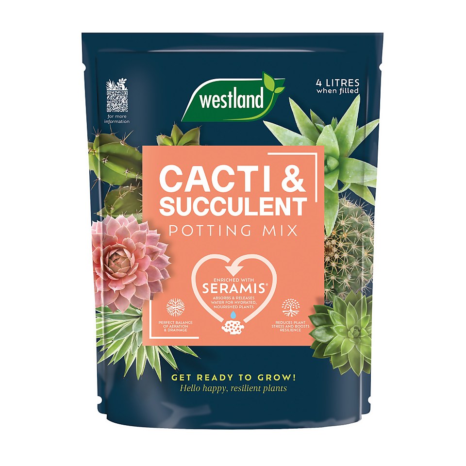 Westland Peat Free Cacti & Succulent Potting Mix - 4L