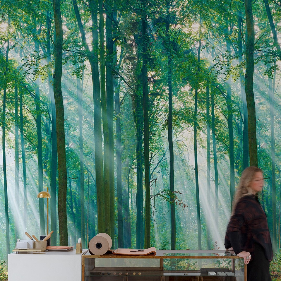 Grandeco Biophilic Photographic Sunlight Through Trees 3 Lane Repeatable Mural 2.8 x 1.59m