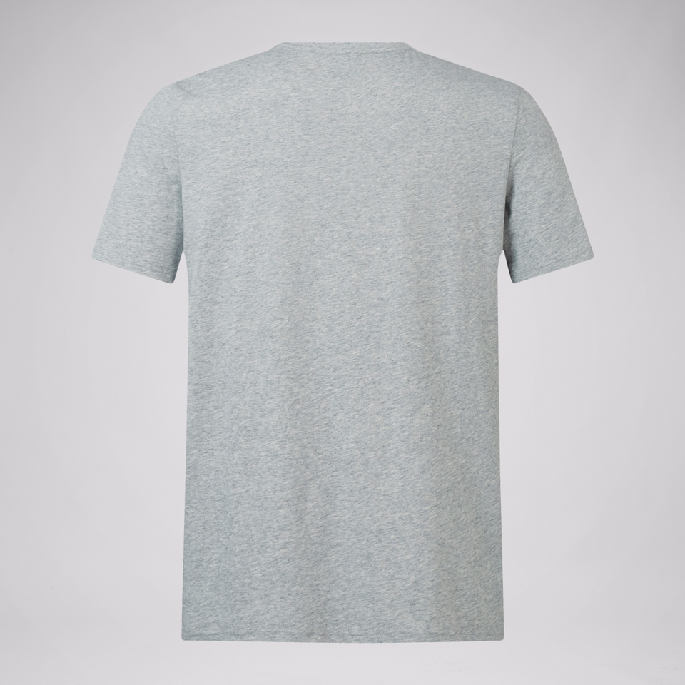 ADULT UNISEX BRITISH & IRISH LIONS MONUMENT TEE GREY MARL