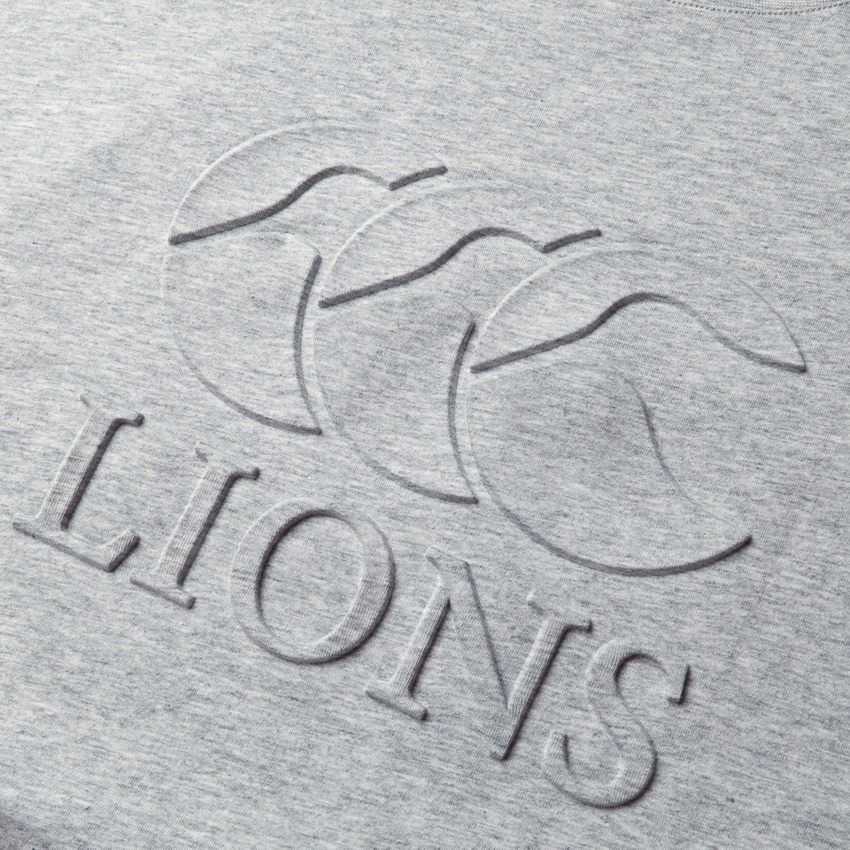 ADULT UNISEX BRITISH & IRISH LIONS MONUMENT TEE GREY MARL