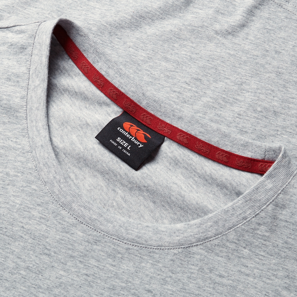ADULT UNISEX BRITISH & IRISH LIONS MONUMENT TEE GREY MARL