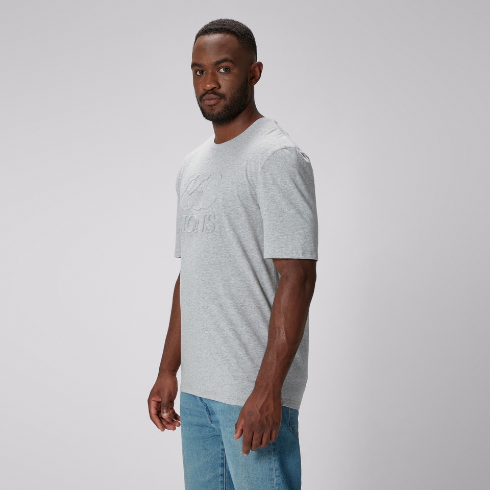 ADULT UNISEX BRITISH & IRISH LIONS MONUMENT TEE GREY MARL