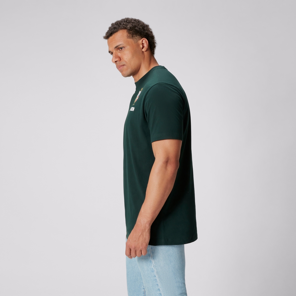 MENS BRITISH & IRISH LIONS COTTON JERSEY TEE GREEN