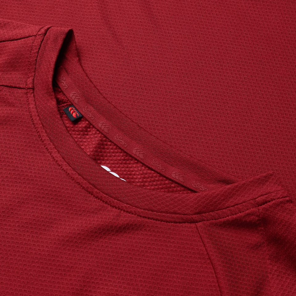 MENS BRITISH & IRISH LIONS EVEREST TEE RED