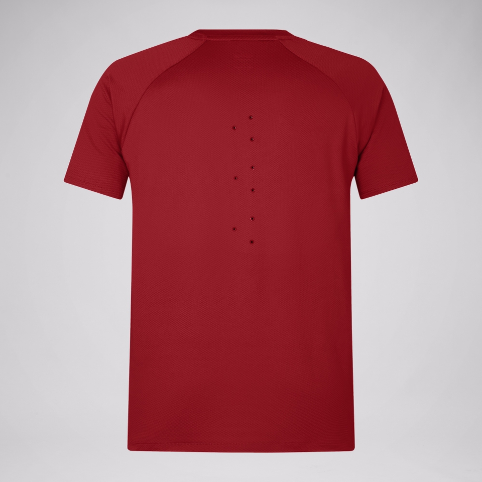 MENS BRITISH & IRISH LIONS CCC EVEREST T-SHIRT RED