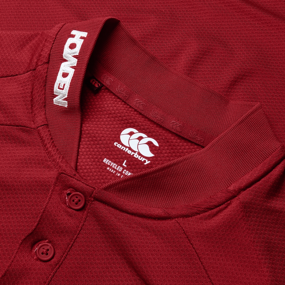 MENS BRITISH & IRISH LIONS POLO SHIRT RED
