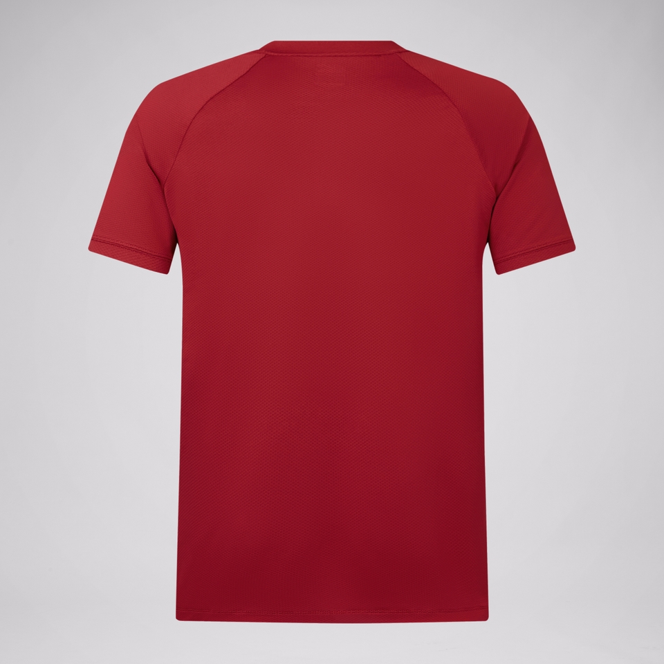 MENS BRITISH & IRISH LIONS POLO SHIRT RED