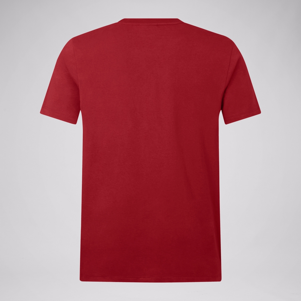 MENS BRITISH & IRISH LIONS COTTON JERSEY TEE RED
