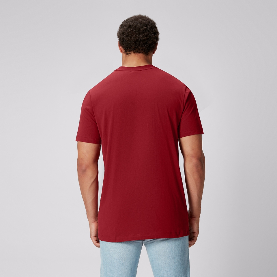 MENS BRITISH & IRISH LIONS CCC COTTON JERSEY T-SHIRT RED