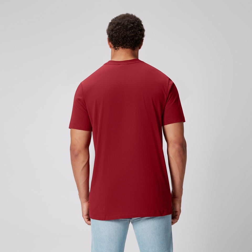 MENS BRITISH & IRISH LIONS COTTON JERSEY TEE RED
