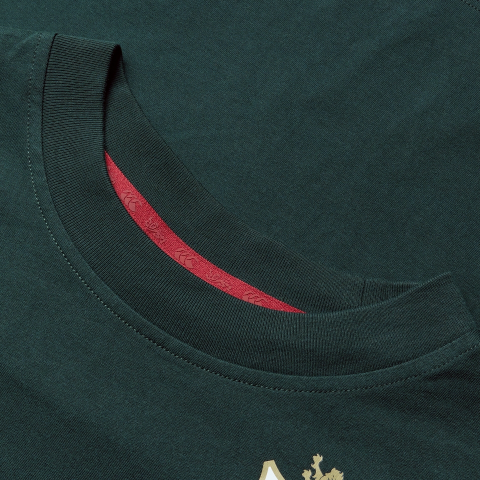 WOMENS BRITISH & IRISH LIONS COTTON JERSEY TEE GREEN
