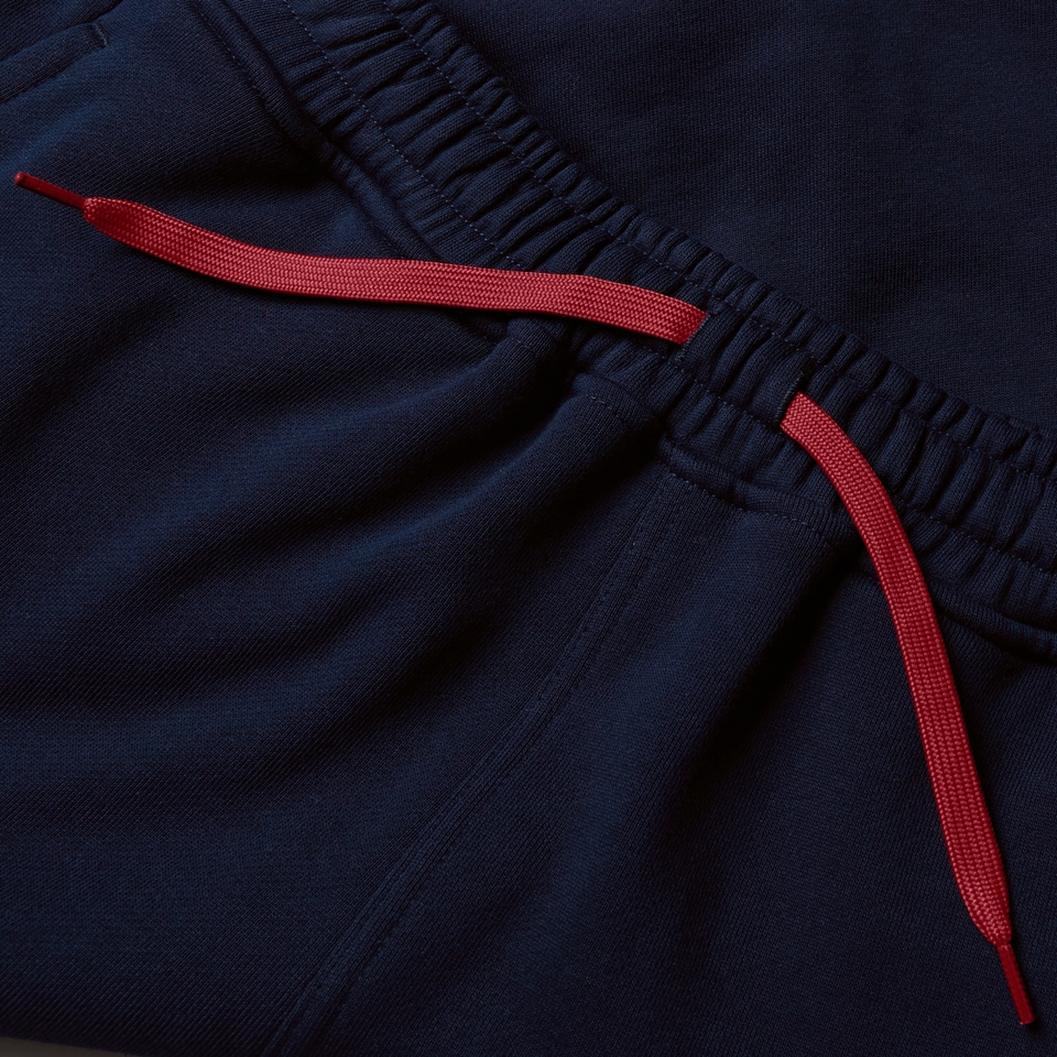 MENS BRITISH & IRISH LIONS FLEECE SHORTS NAVY