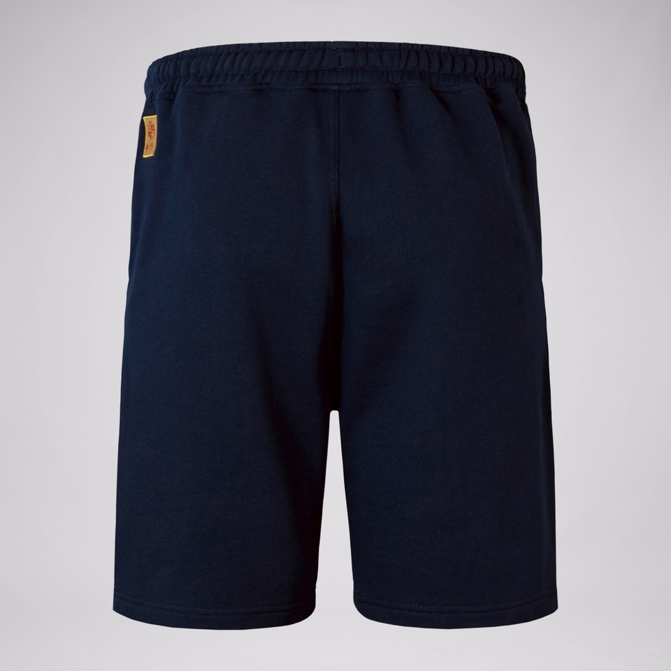 MENS BRITISH & IRISH LIONS FLEECE SHORTS NAVY