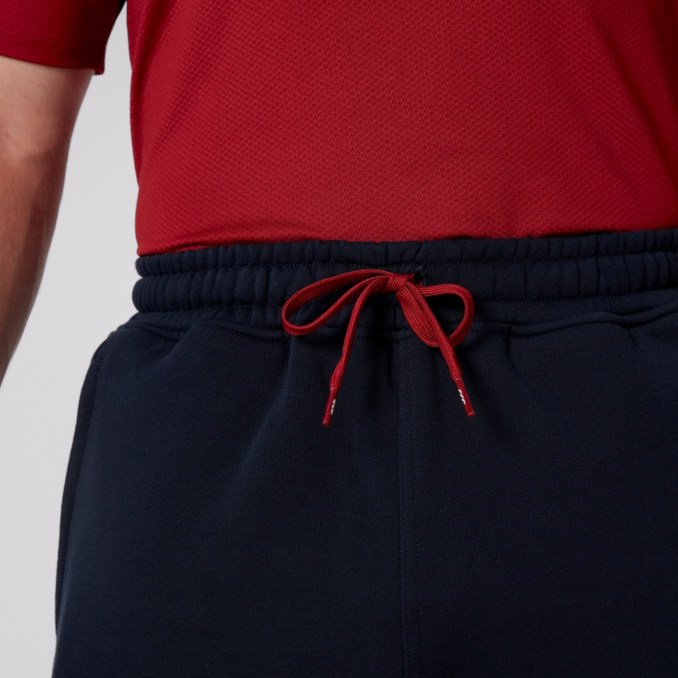 MENS BRITISH & IRISH LIONS FLEECE SHORTS NAVY