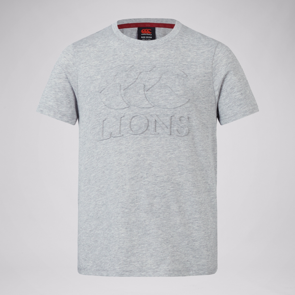 JUNIOR UNISEX BRITISH & IRISH LIONS MONUMENT TEE GREY MARL