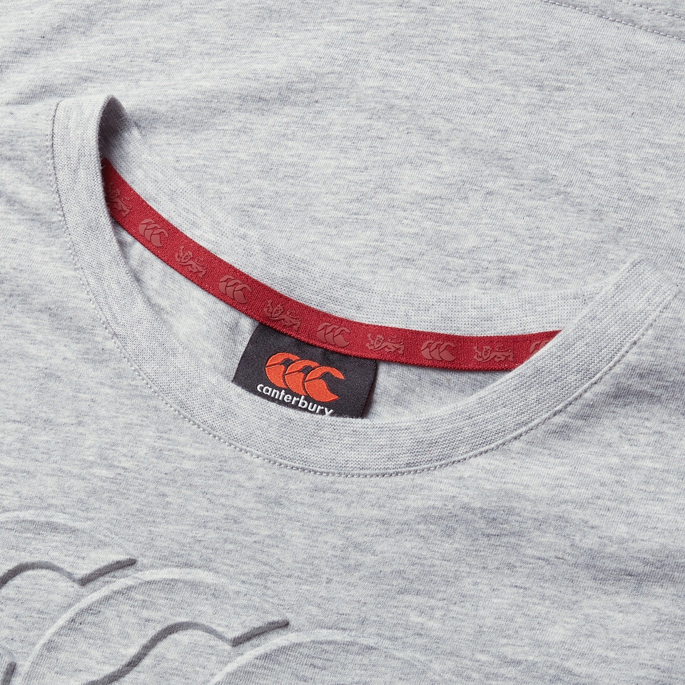 JUNIOR UNISEX BRITISH & IRISH LIONS MONUMENT TEE GREY MARL