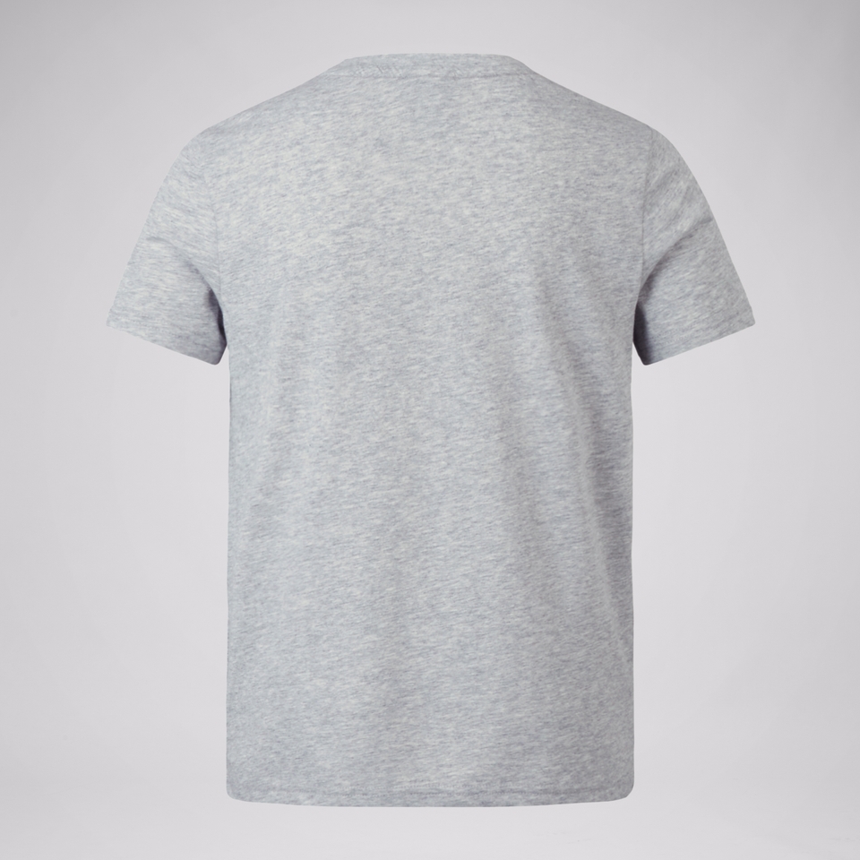 JUNIOR UNISEX BRITISH & IRISH LIONS MONUMENT TEE GREY MARL